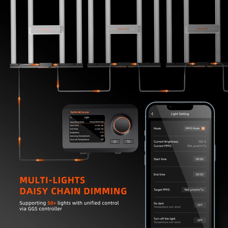 Dasiy-Chain-Multi-Light-Control.webp