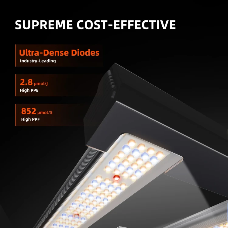 G3000-Rodzaje diod spider lampa g series