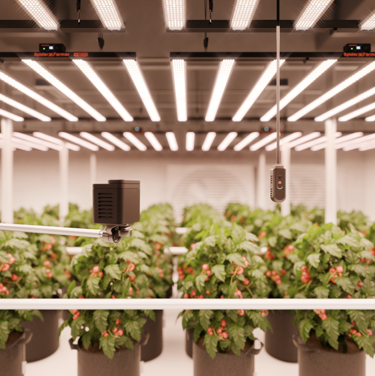 SensorPro Spider Farmer GGS CO₂ PAR zestaw czujników do growboxa grow room