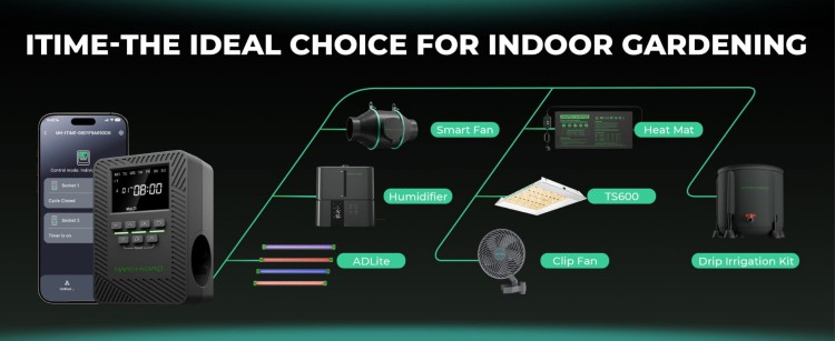 Smart timer with double socket for growing and home