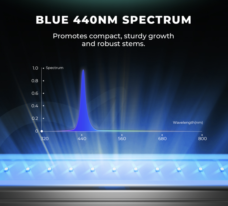 Listwy LED Mars Hydro ADlite Blue 30 – światło pomocnicze do fazy wegetacyjnej roślin spektrum