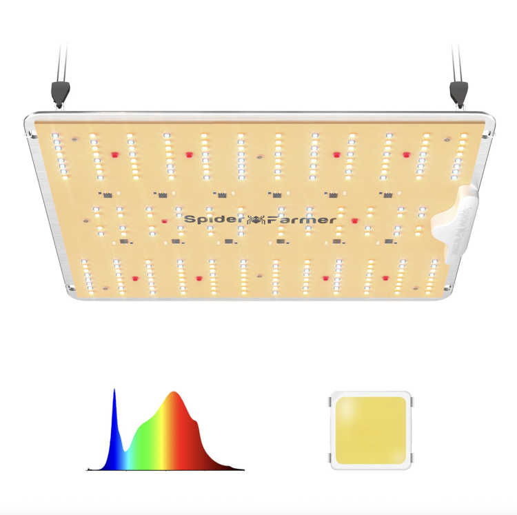 Lampa SF1000D od spodu włączona
