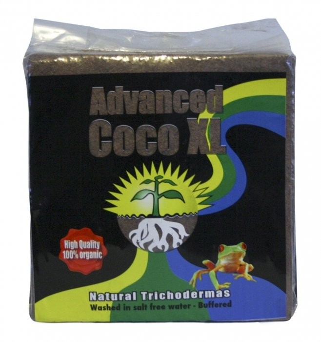 Advanced Kostka Kokosowa Coco Pot + Trichoderma