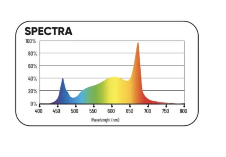 Kolorowy wykres przedstawiający widmo świetlne lampy LED, ze szczytami w zakresie niebieskiego (ok. 450 nm) oraz czerwonego (ok. 660 nm).