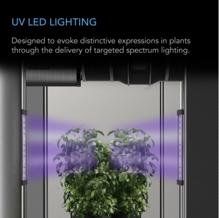 AC Infinity IONBEAM U2 zamontowane w namiocie uprawowym z promieniowaniem UV