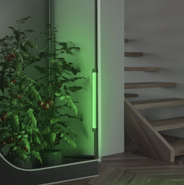 Zielona lampa AC Infinity IONBEAM Green oświetlająca rośliny nocą Alt: Zielona listwa LED świecąca w namiocie grow
