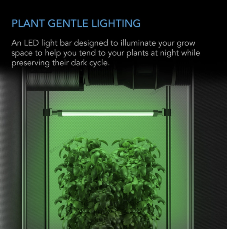 AC Infinity IONBEAM Green w namiocie grow – zielone światło robocze niezakłócające cyklu fotoperiodycznego roślin.