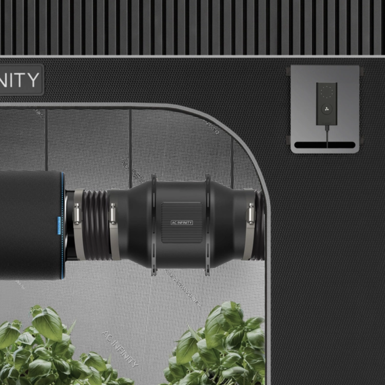 AC Infinity CLOUDLINE A6 150 mm zamontowany w namiocie uprawowym z filtrem węglowym