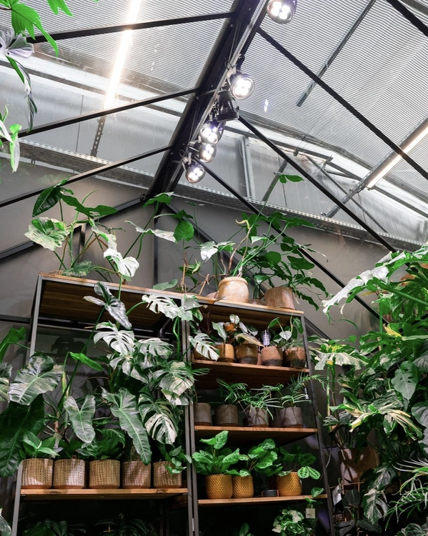 pol_pl_VERTICANA-R-Zarowka-35W-CZARNA-soczewka-80-4198_12.webp