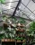 pol_pl_VERTICANA-R-Zarowka-35W-CZARNA-soczewka-80-4198_12.webp