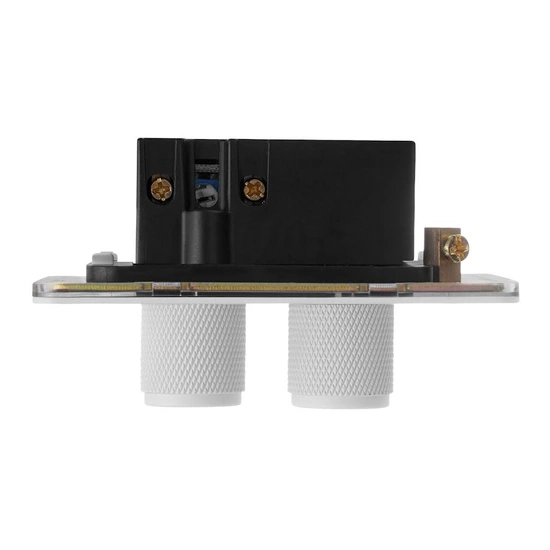 pol_pm_VERTICANA-R-WALL-DIMMER-2-WAY-WHITE-bialy-sciemniacz-scienny-podwojny-7044_2.webp
