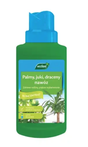 Westland Nawóz do Palmy, Juki i Draceny 250ml - płynny nawóz do roślin egzotycznych