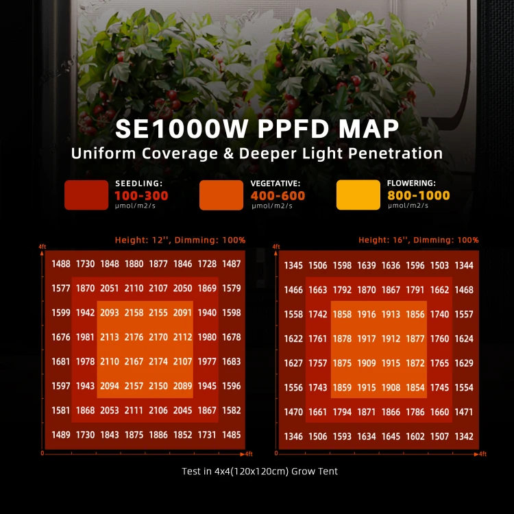 sf-k1-02-se1000w-ppfd-mapa-natezenia-swiatla.jpg