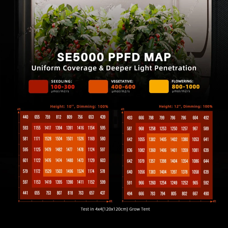 sf-k3-03-se5000-ppfd-mapa-swiatla.jpg