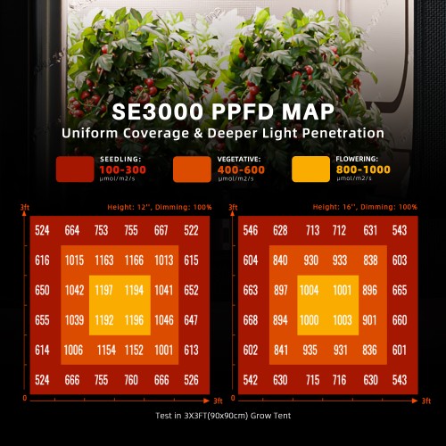 sf-k5-02-se3000-ppfd-mapa-swiatla.jpg