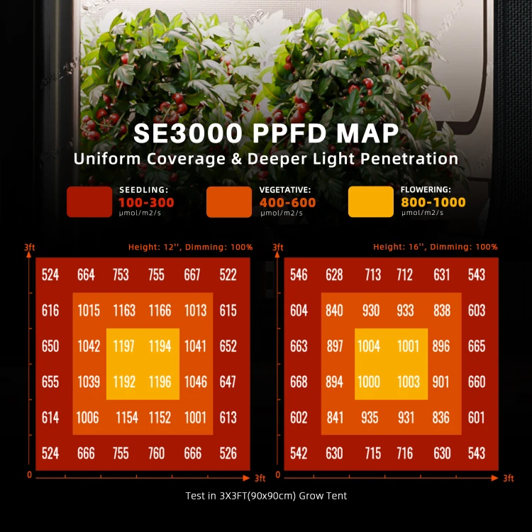 sf-k5-02-se3000-ppfd-mapa-swiatla.jpg