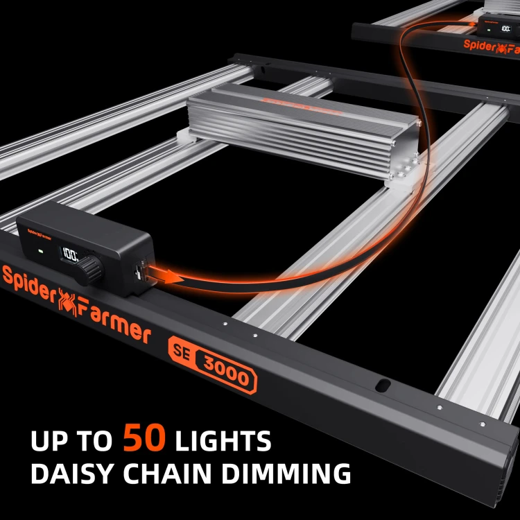 sf-k6-04-se3000-daisy-chain-sciemnianie.jpg