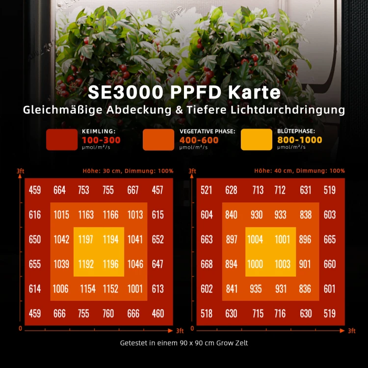 sf-k9-03-se3000-ppfd-mapa-swiatla.jpg