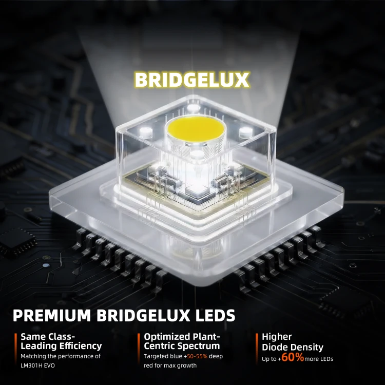 sf-k9-04-diody-bridgelux-3030.jpg