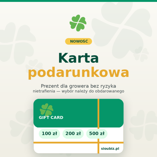 baner-karta-podarunkowa-mobile-1080x1080.png
