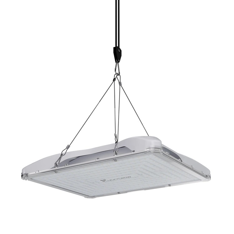 Lampa LED zawieszona w namiocie uprawowym na linkach