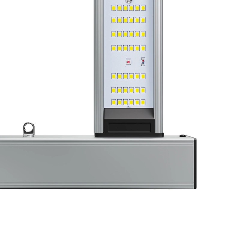 Diody Samsung LM281B+ Pro i czerwień 660 nm - zbliżenie