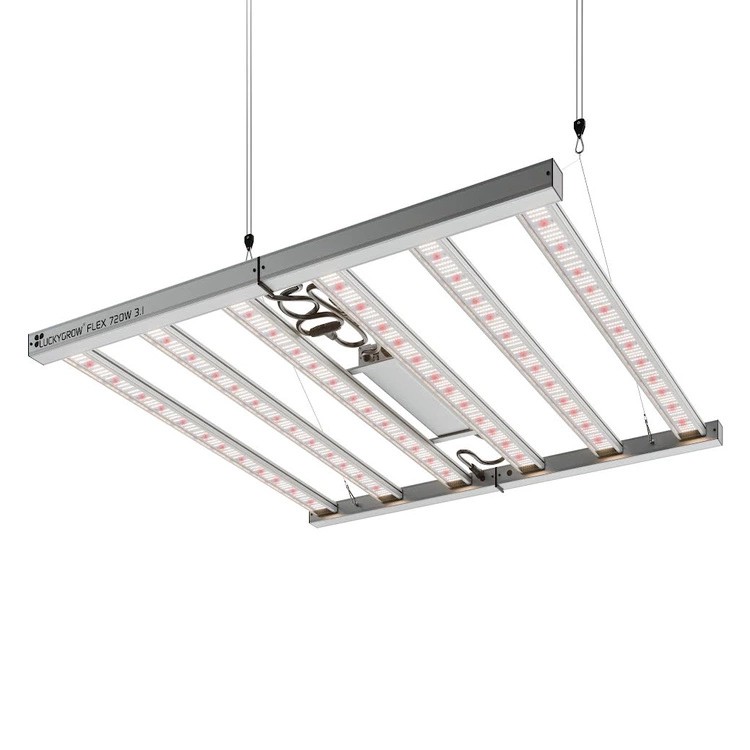 Lampa FLEX 720W 3,1 podwieszona nad roślinami