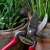 7373_3_sekator-ogrodowy-kompaktowy-blokada-bezpieczenstwa.webp