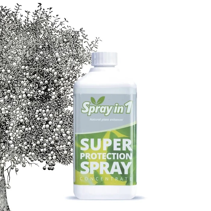 Woma Spray in 1 Super 500ml naturalny oprysk na mączniaka do growboxu