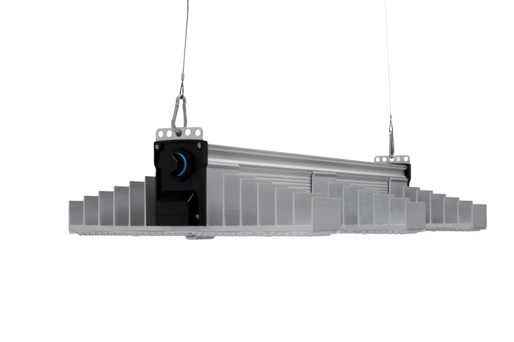 SANlight EVO 3-80 1.5 lampa LED 200W do uprawy roślin