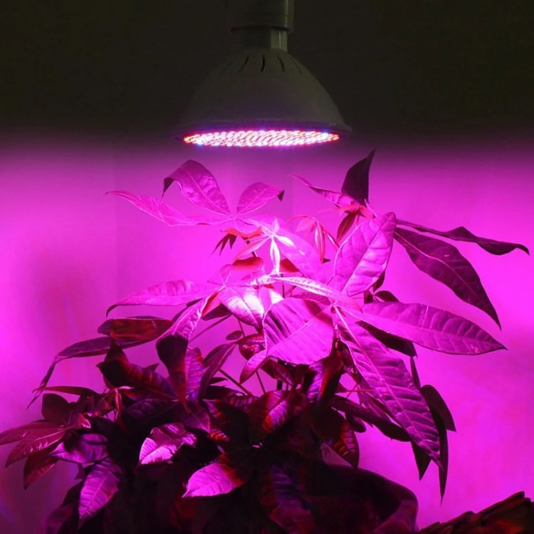 Światło grow LED nad rośliną doniczkową