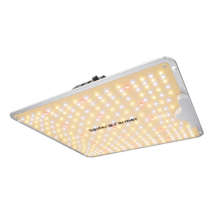 Spider Farmer SF1000 100W – lampa LED z diodami Bridgelux wersja 2026