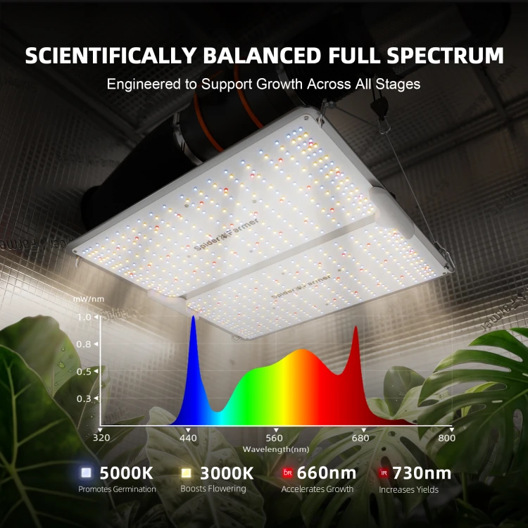 Spider Farmer SF2000 Pro 200W – lampa LED Bridgelux nad roślinami z wykresem spektrum
