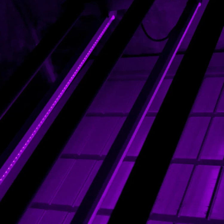 Agrolite UV Twins – doświetlanie UV pod lampą LED w growboxie