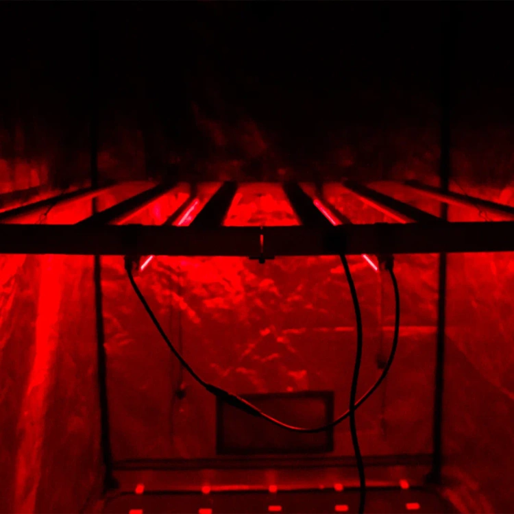 Agrolite NIR Twins – doświetlanie far-red pod lampą LED w growboxie