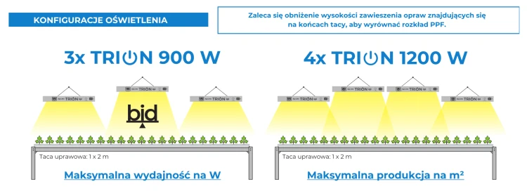 Agrolite TRION – układ 3 i 4 lamp na grządce uprawowej