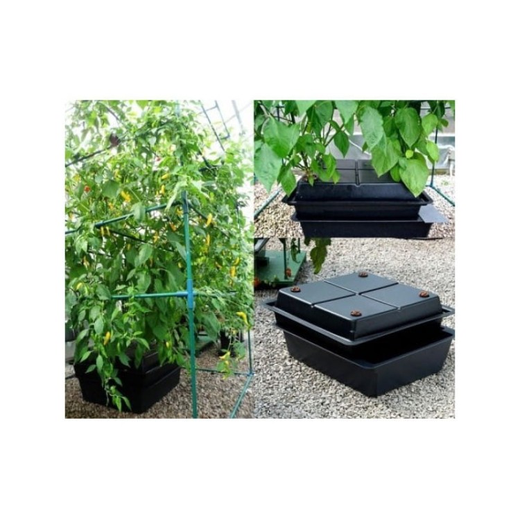 amazon-systeme-32-plantes (1).jpg