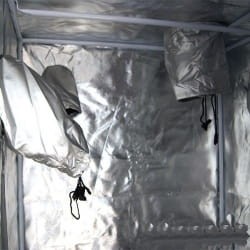 mylar superbox