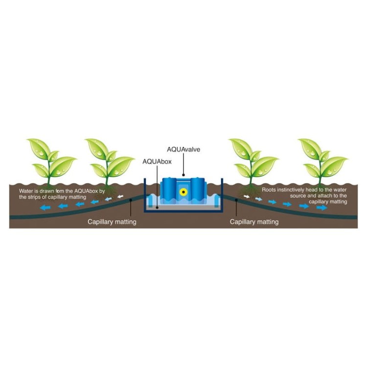 autopot-aquabox-spyder.jpg
