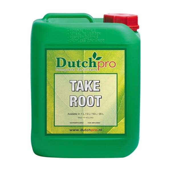 dutch pro take root.jpg