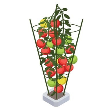 plant support wspornik do roslin.jpg