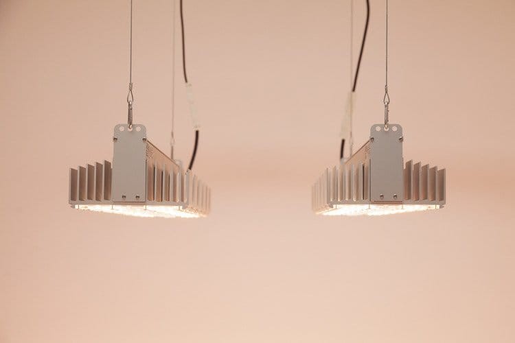 sanlight q4w led lamp.jpg