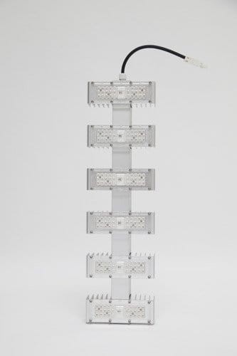 q6w sanlight.jpg