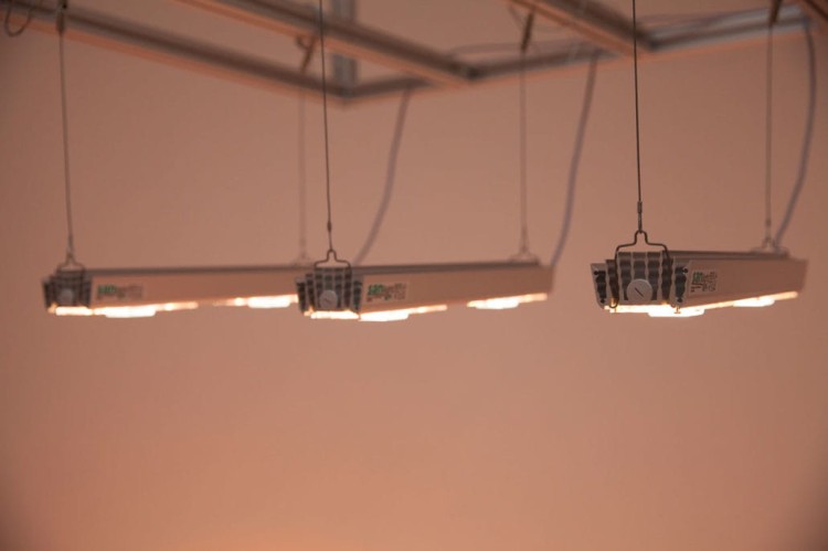 s2w sanlight led lampa .jpg