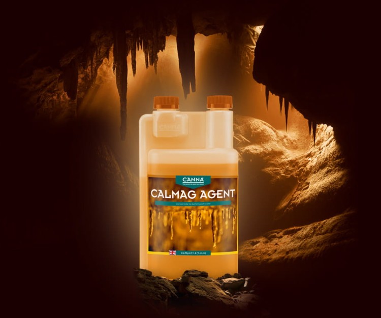 calmag canna wapn i magnez