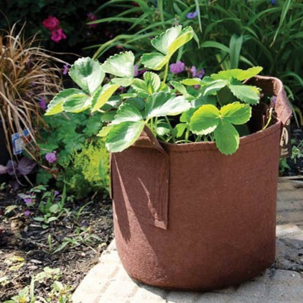 root pouch 30L