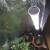 tled grow krakow vf.jpg