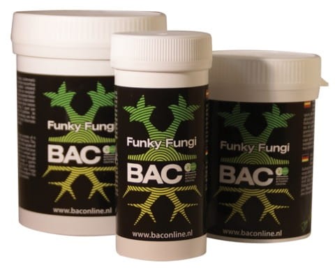 bac funky fungi online jpg.jpg
