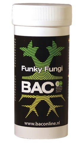 funky fungi bac jpg.jpg