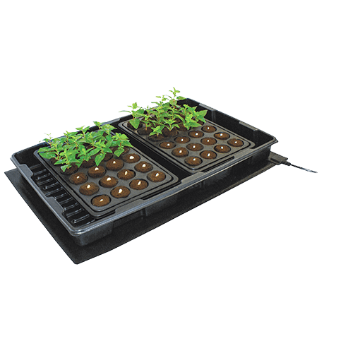 root !t mata grzewcza medium heating mat
